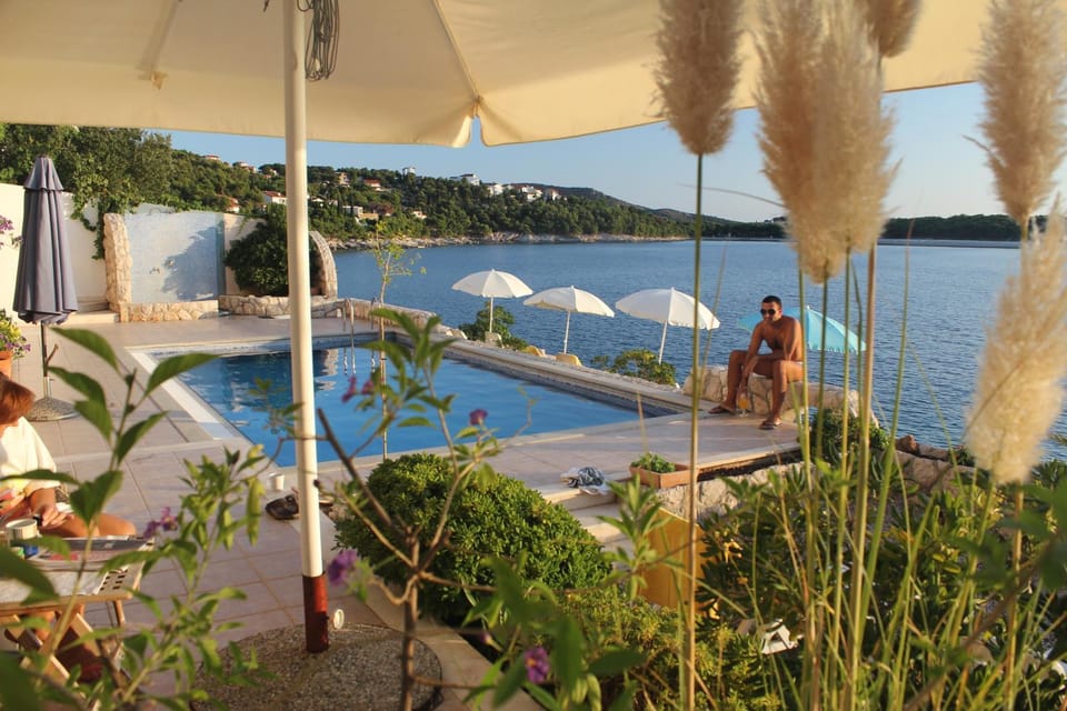 Day, Guests, Swimming pool