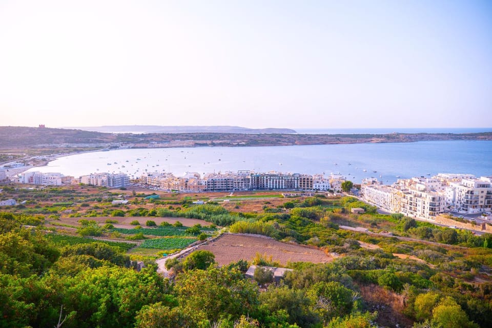 Area and facilities, Area and facilities