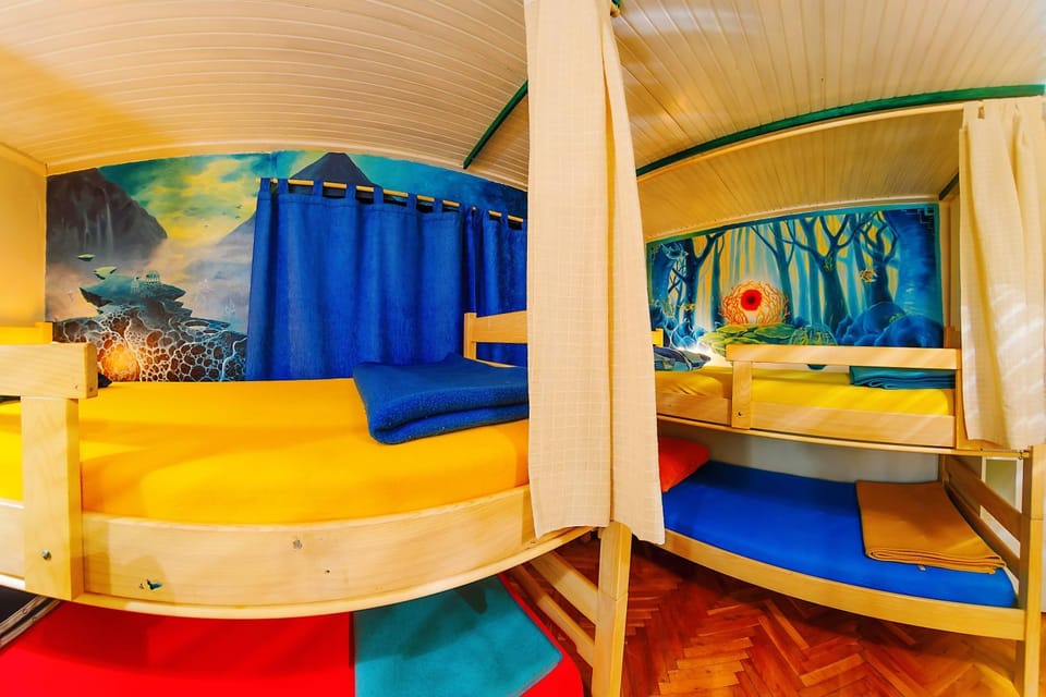 Bed, Photo of the whole room, bunk bed