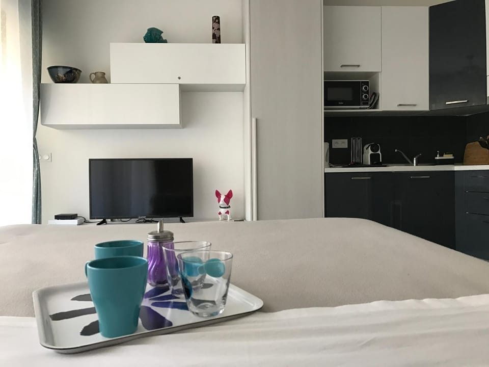 Le Paradis Blue Apartment in Nice