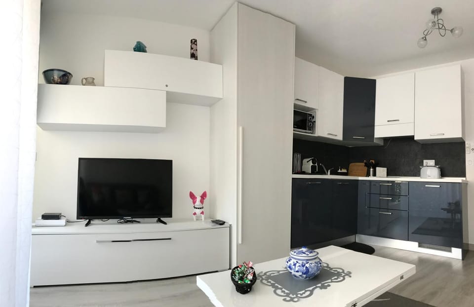 Le Paradis Blue Apartment in Nice