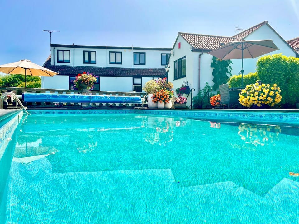 Garden, Pool view, Swimming pool