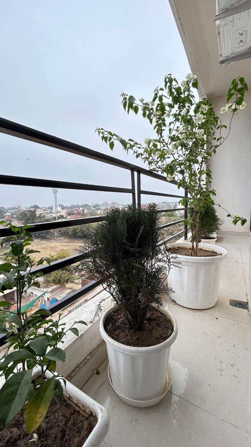 Divya Dham Homestay Apartment in Varanasi