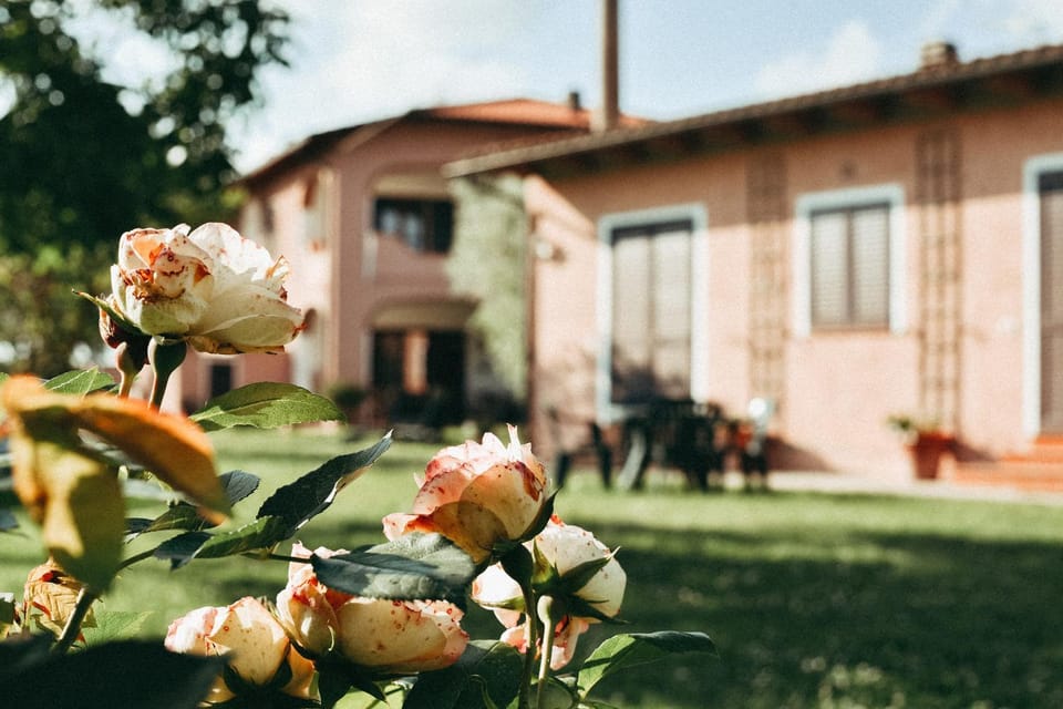 Agriturismo Vallerana Farm Stay in Tuscany