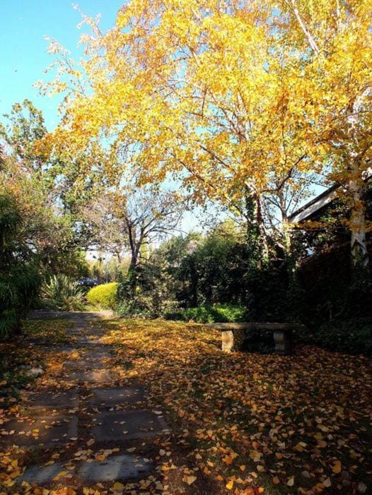 Fisant, Bokmakierie and Hoephoep Guest House Bed and Breakfast in South Africa