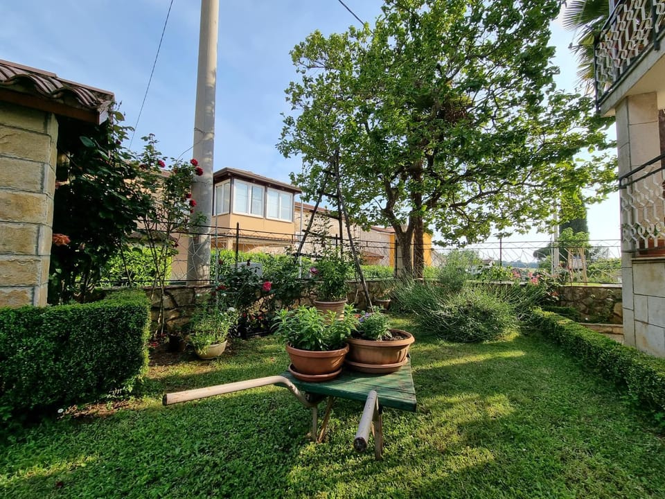 Garden, Garden view