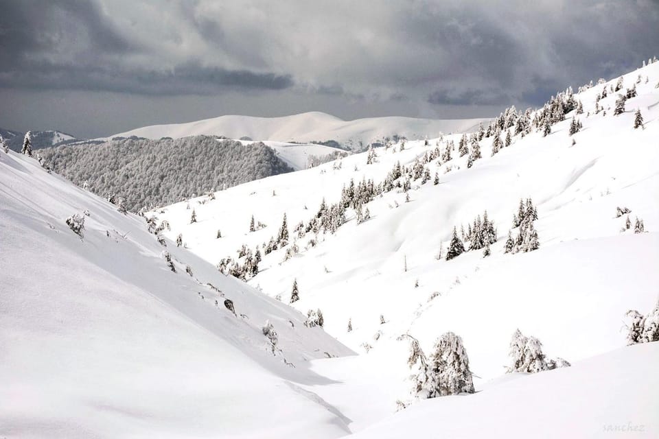 Neighbourhood, Natural landscape, Winter, Skiing