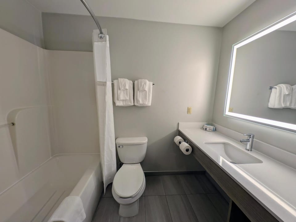 Shower, Toilet, Bathroom, Facility for disabled guests, towels, acessibility