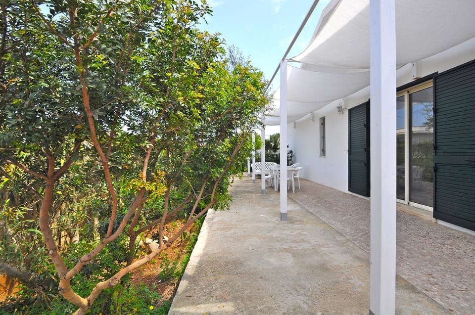 Patio, Garden