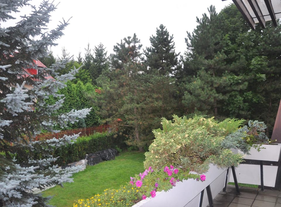 Garden, Balcony/Terrace, Garden view