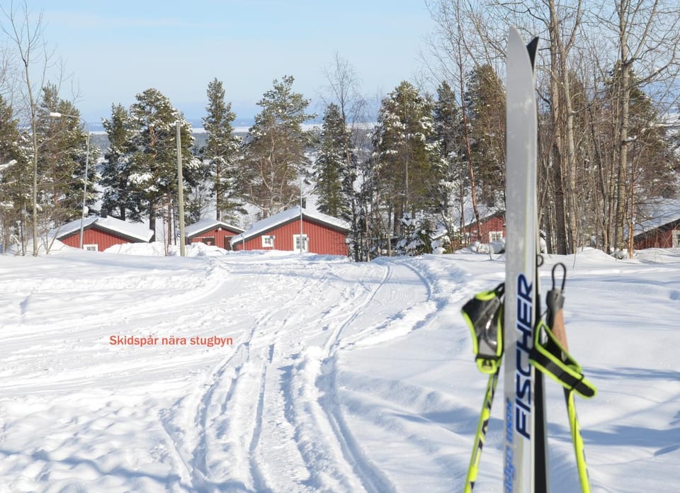 Skiing