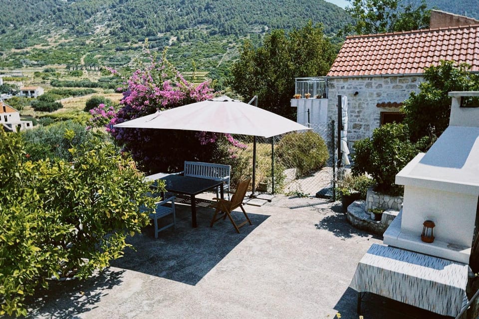 Garden, Dining area, Garden view