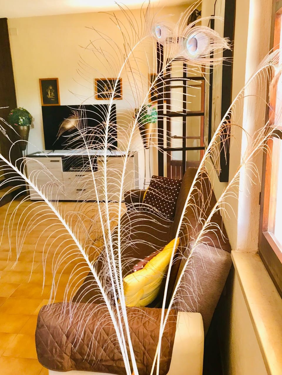 Communal lounge/ TV room, Living room, Seating area, Meeting/conference room