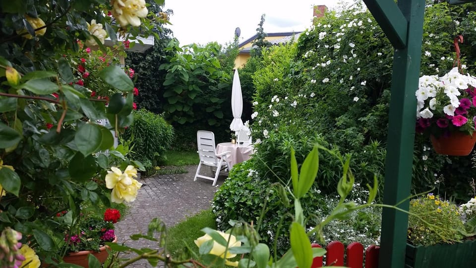 Patio, Garden
