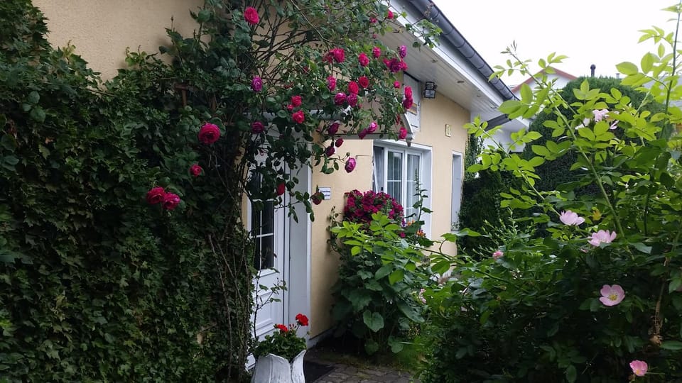 Patio, Facade/entrance