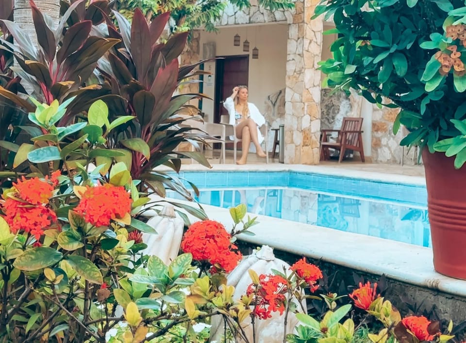 Garden, Garden view, Swimming pool