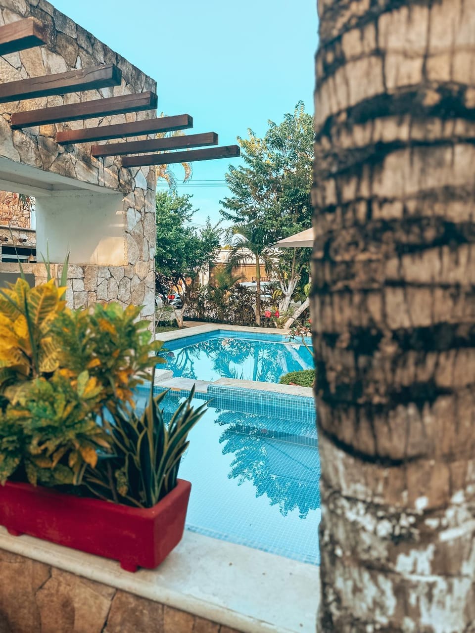 Pool view, Swimming pool
