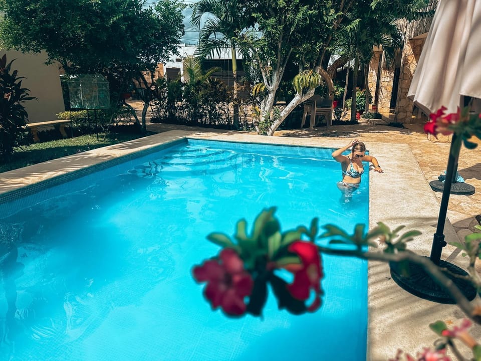 Day, Pool view, Swimming pool