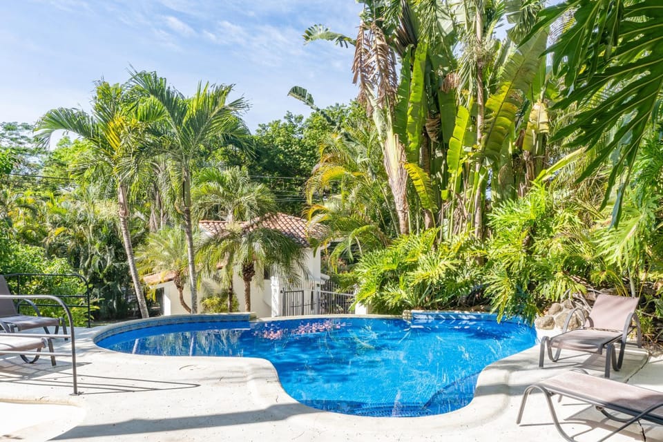 Property building, Garden, Garden view, Pool view, Swimming pool