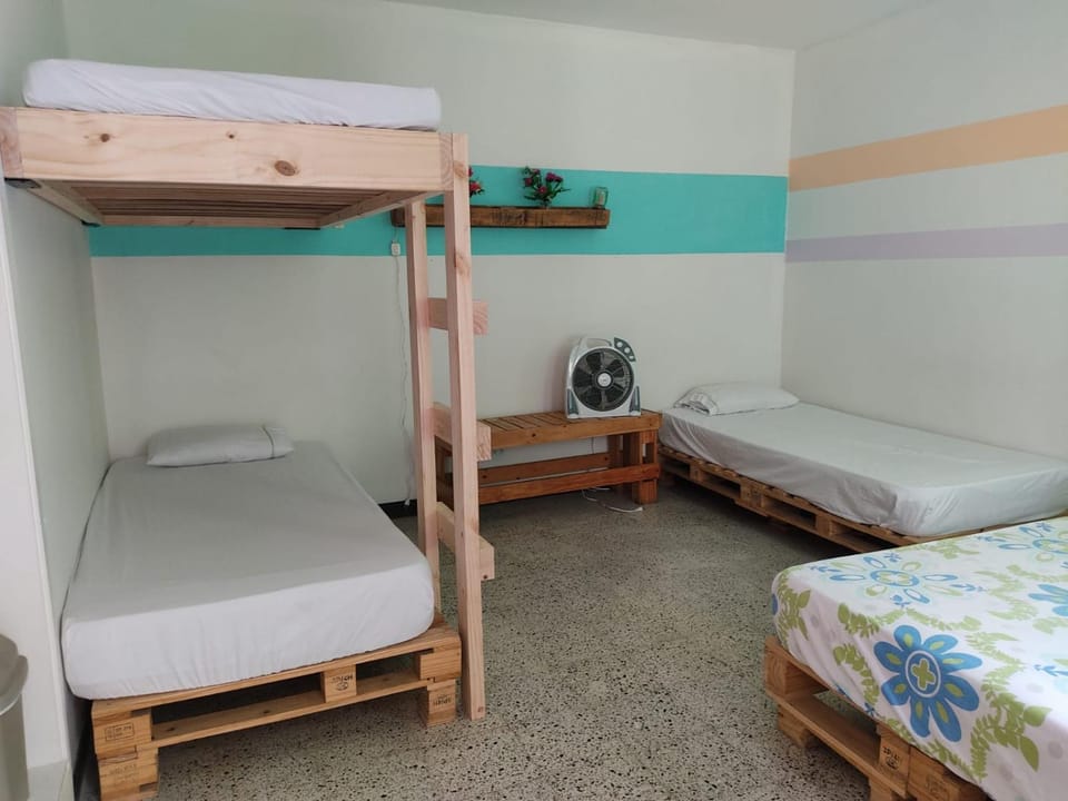 Bed, Photo of the whole room, bunk bed