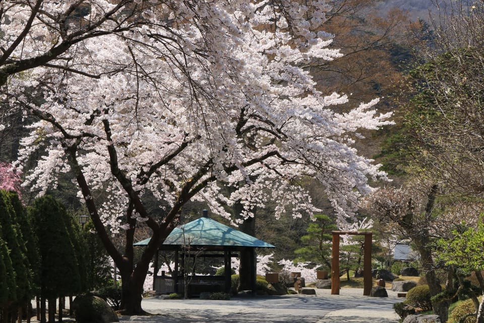 Facade/entrance, Spring