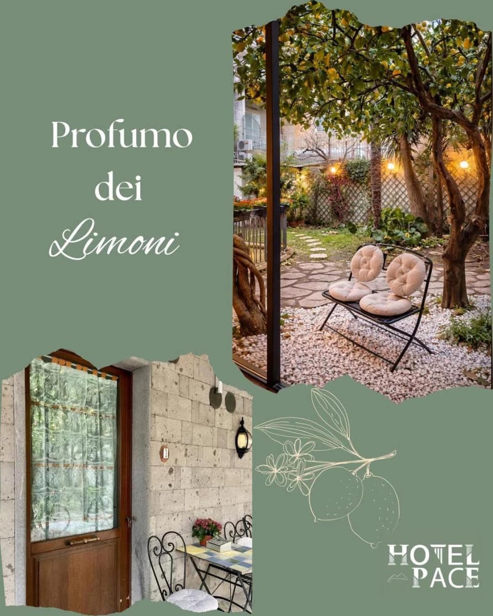 Spring, Day, Garden, Garden view