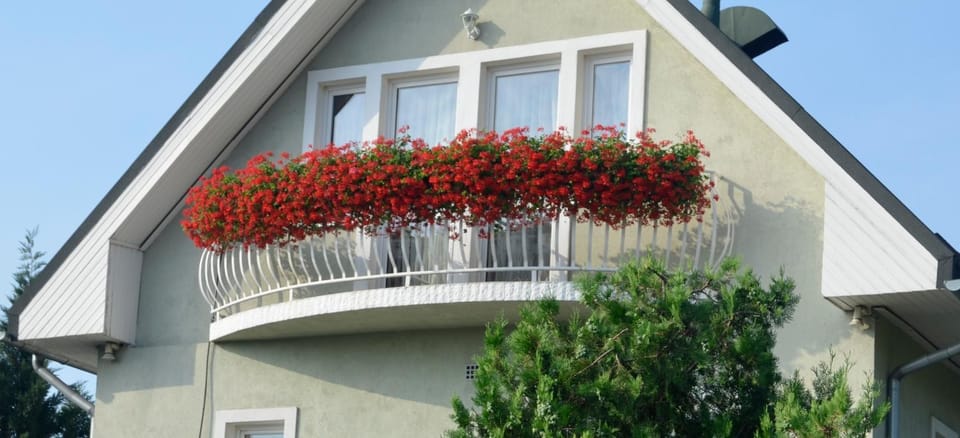 Ida Panzió Bed and Breakfast in Budapest