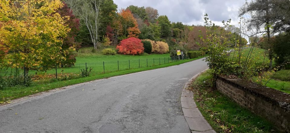 Clos Du Ry De Snaye Nature lodge in Wallonia, Belgium