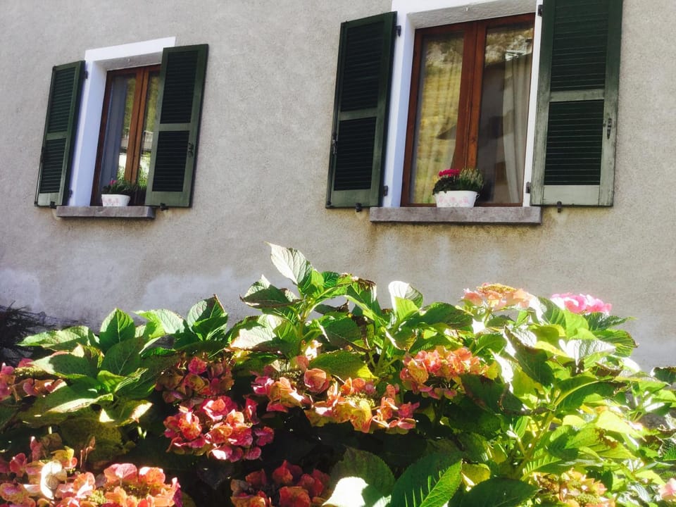 CHARLOTTE casa vacanze House in Canton of Grisons