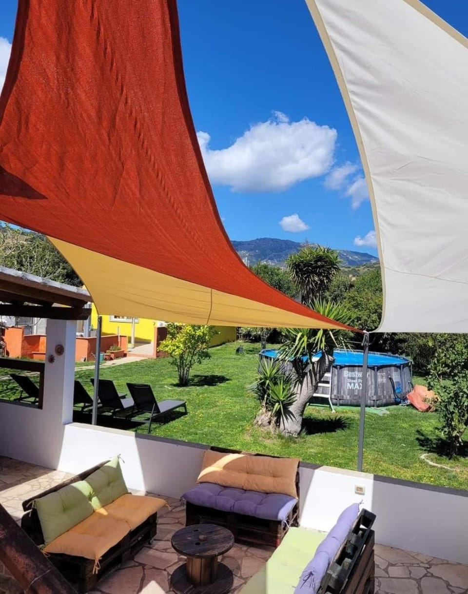 Garden, Garden view, Swimming pool, sunbed