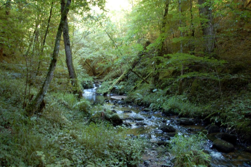 Natural landscape, Hiking