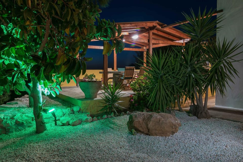 Night, Garden, Garden view