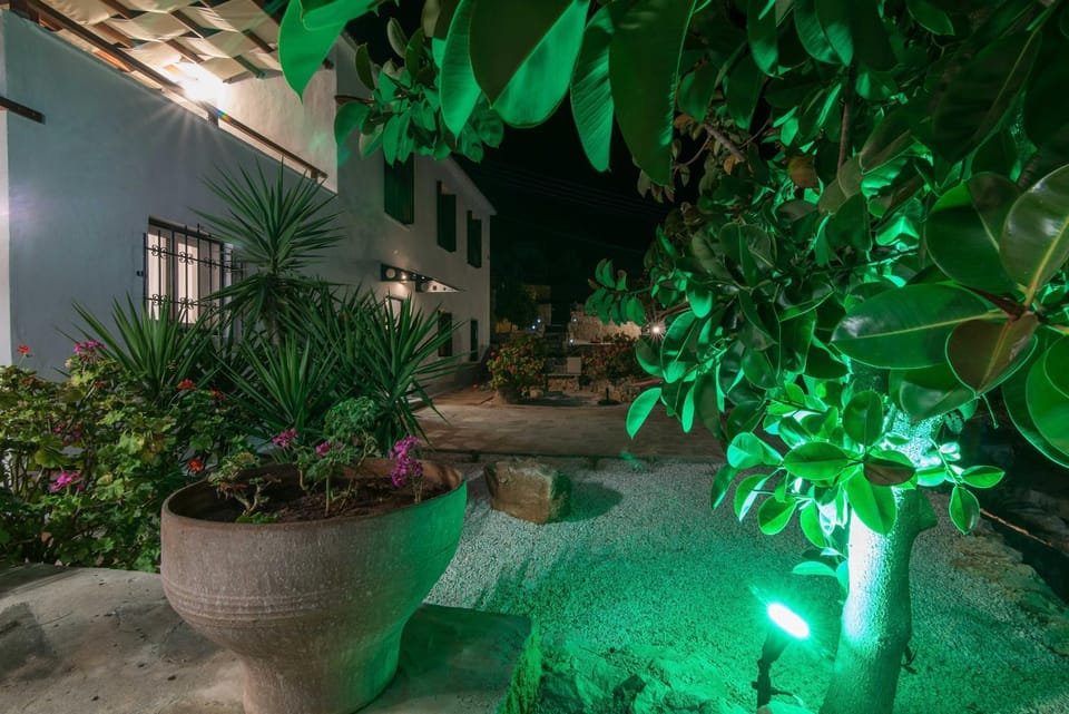 Spring, Night, Garden, Garden, On site