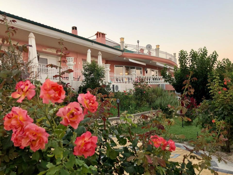 Garden, View (from property/room)