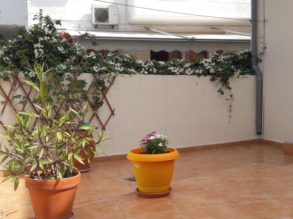 Garden, Balcony/Terrace