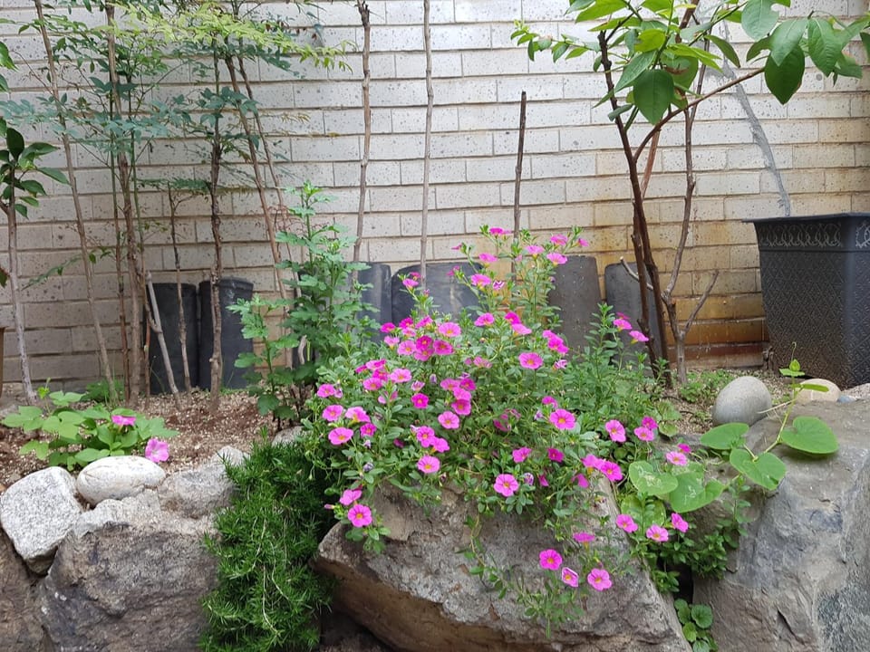 Dajayon Hanok Stay Bed and Breakfast in Seoul