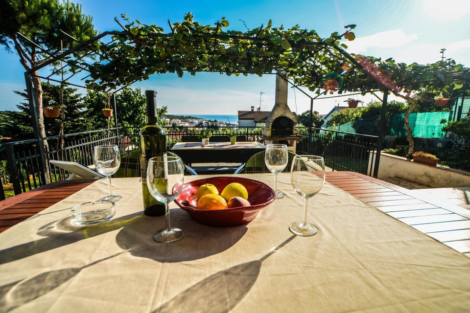 Patio, BBQ facilities, Garden, Balcony/Terrace, Garden view, Sea view