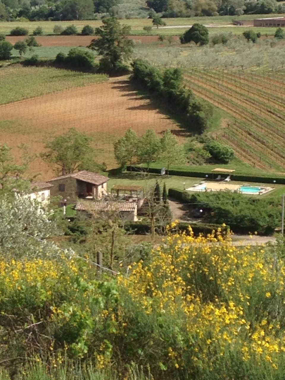 View (from property/room)