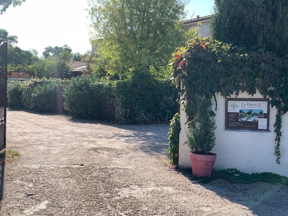 Garden view