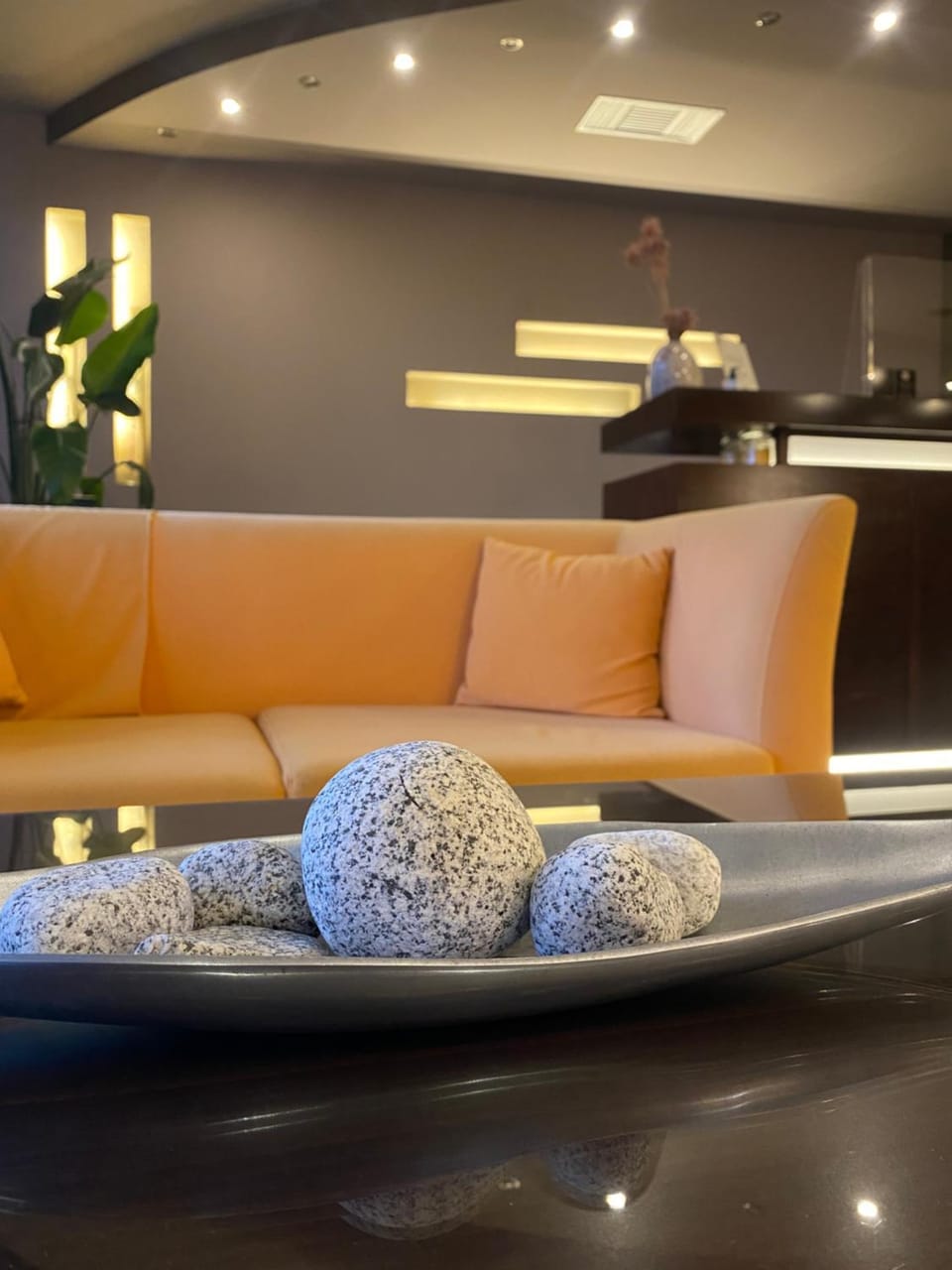 Communal lounge/ TV room, Lounge or bar