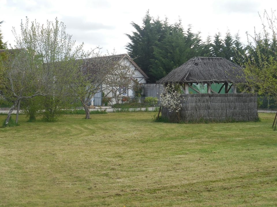 Spring, Garden view