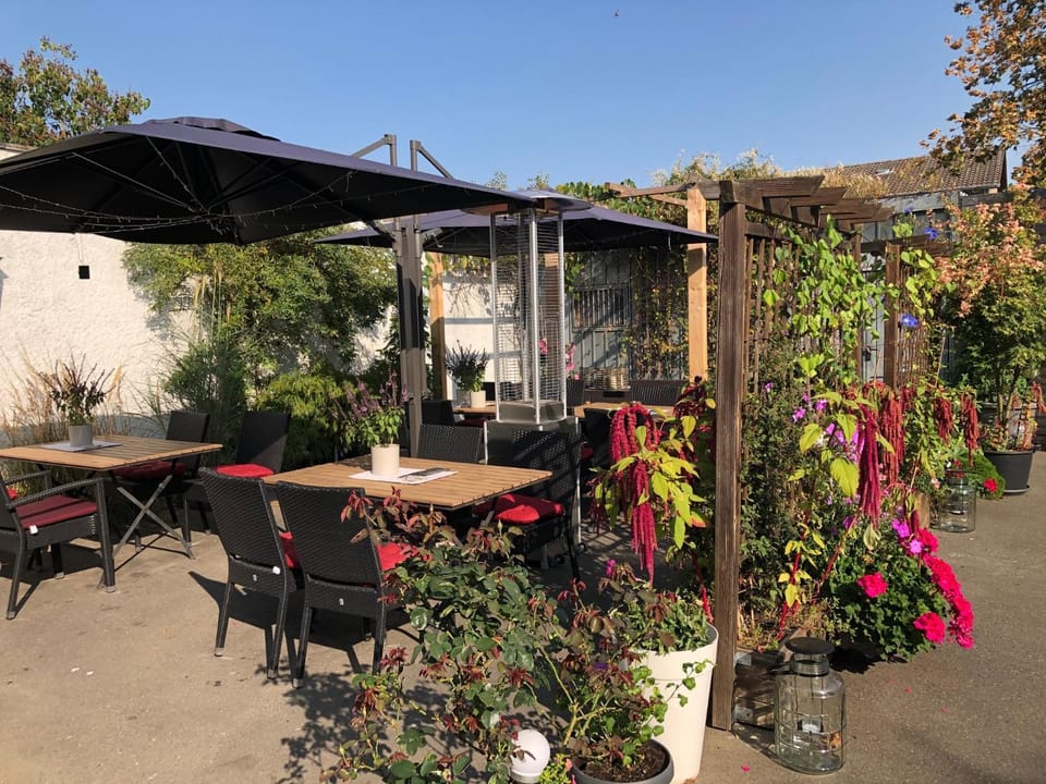 Property building, Patio, Garden, Decorative detail