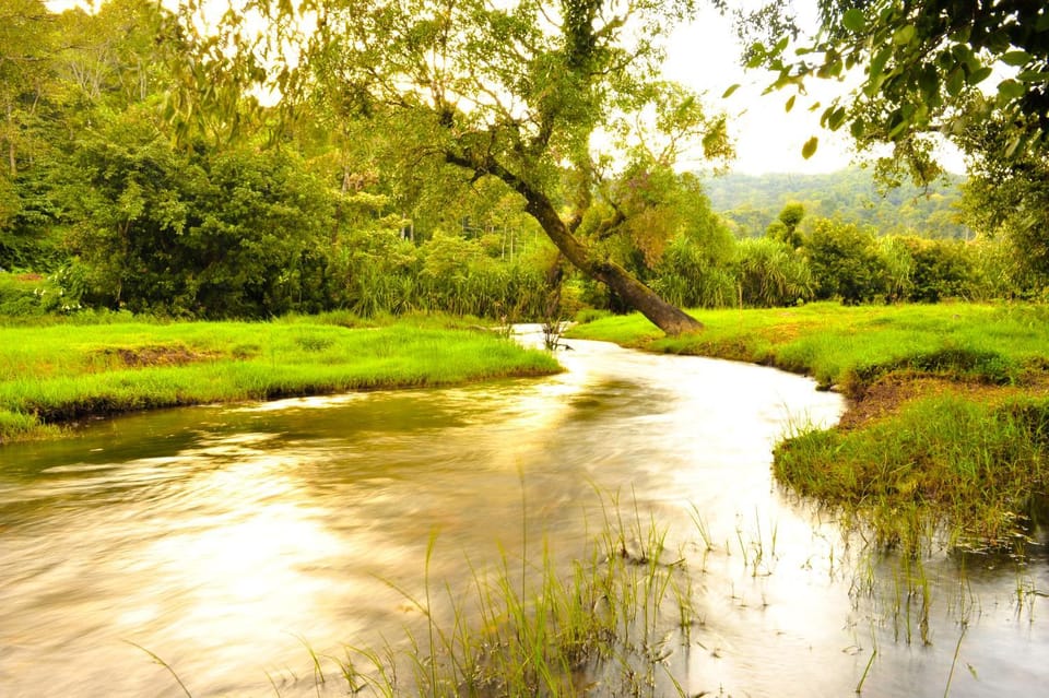 River view