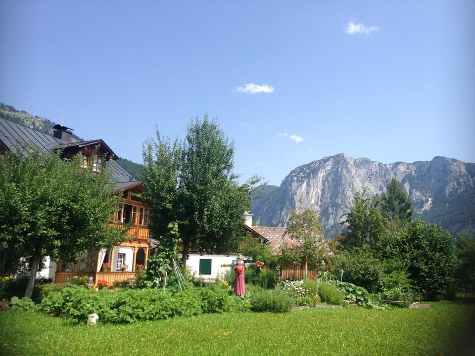 Property building, Summer, Garden