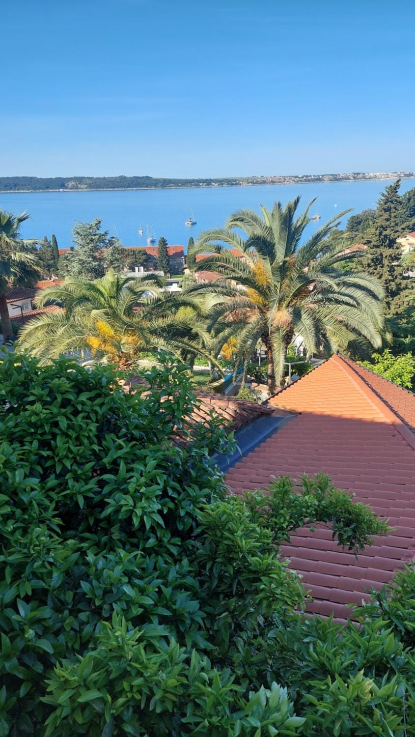Apartma Ursa Apartment in Portorož