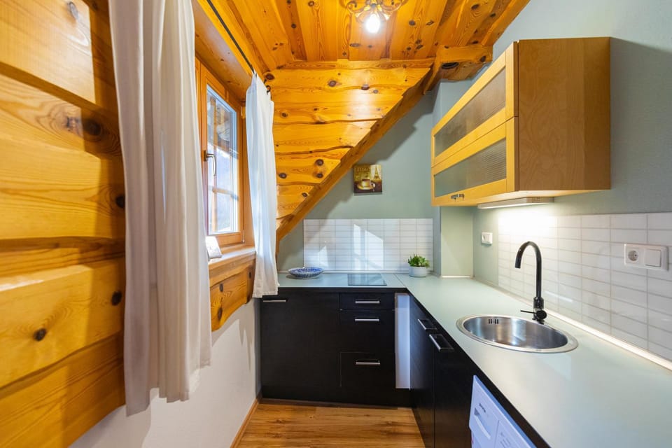 Kitchen or kitchenette, stove, kitchen