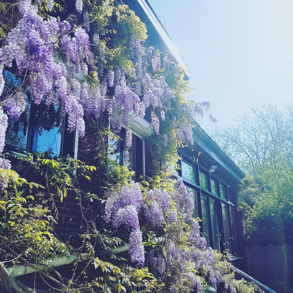 Property building, Spring, Day, Garden, Garden view