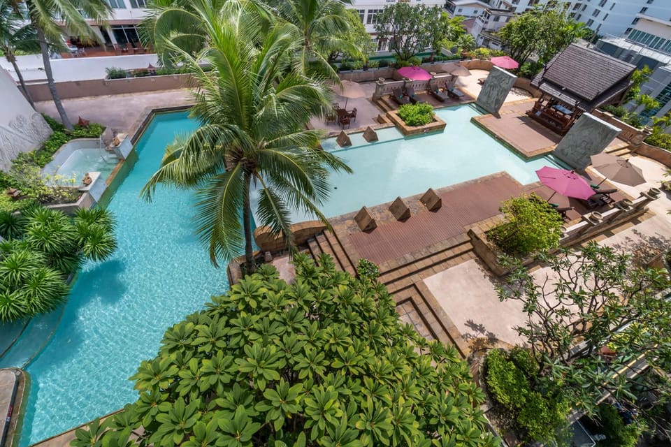 Swimming pool, Swimming pool
