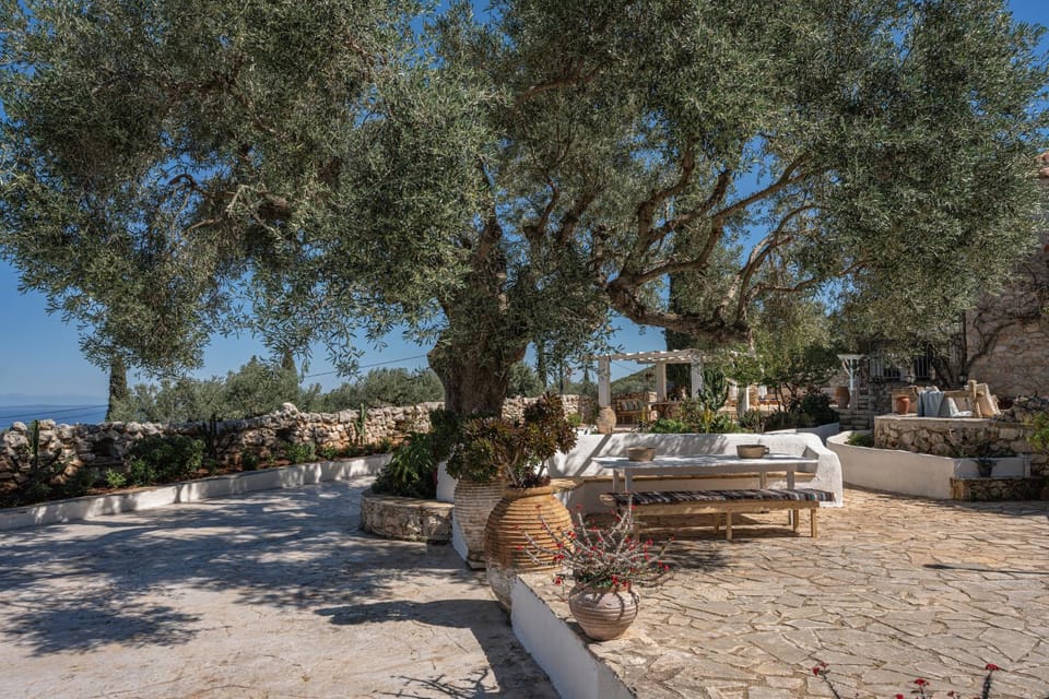 Patio, Spring, Garden