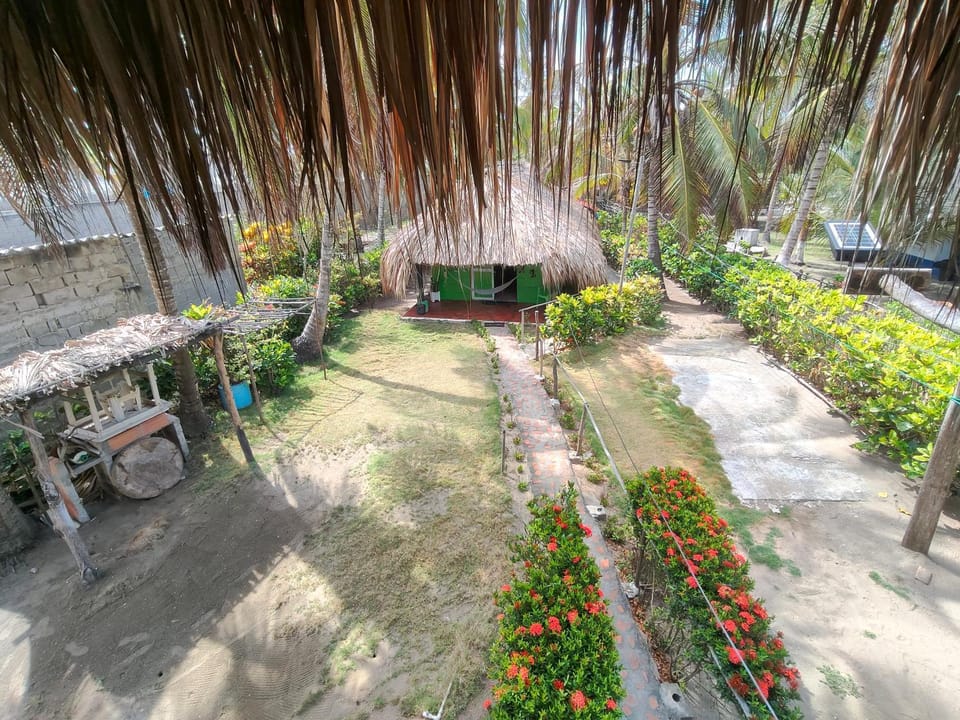 Patio, Balcony/Terrace, Inner courtyard view